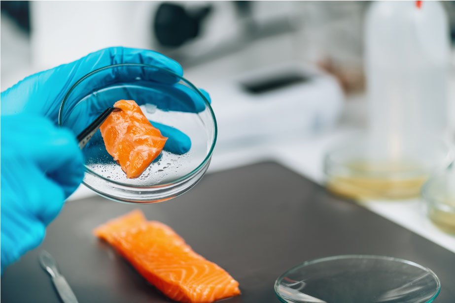 Gestiones Sanitarias Y Ambientales SRL